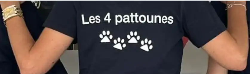 teeshirt les4pattounes