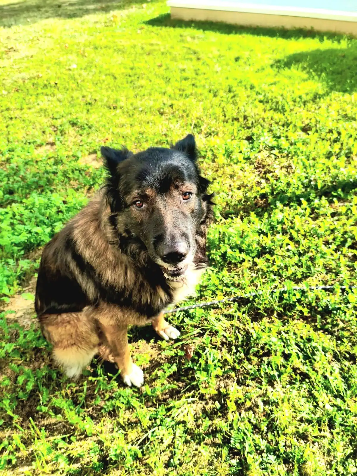 565718002_858991463143995_3895457663793060142_n Reiko