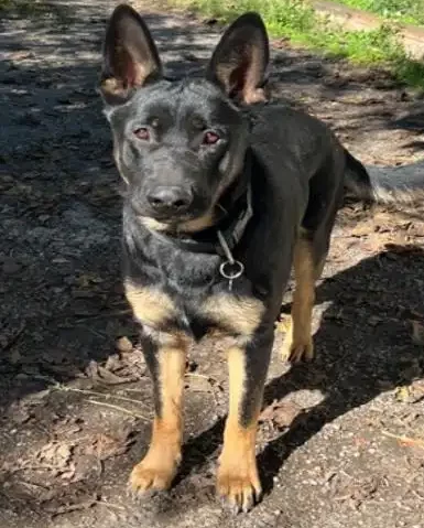 571037665_859698069740001_1227638057041637152_n Xena