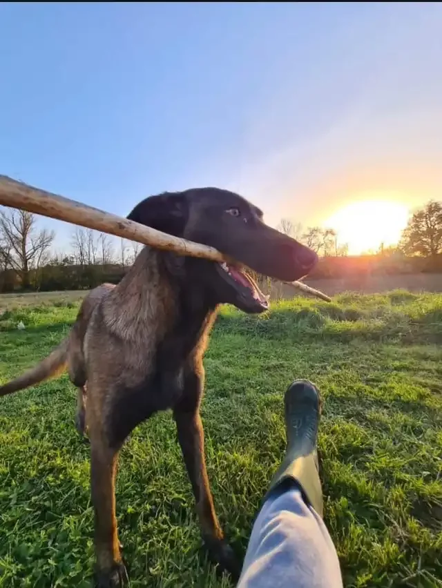 574109690_864871472555994_3613495192302978785_n Nita