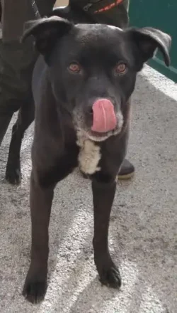 628999007_940822794960861_1433289206841358277_n Reiko