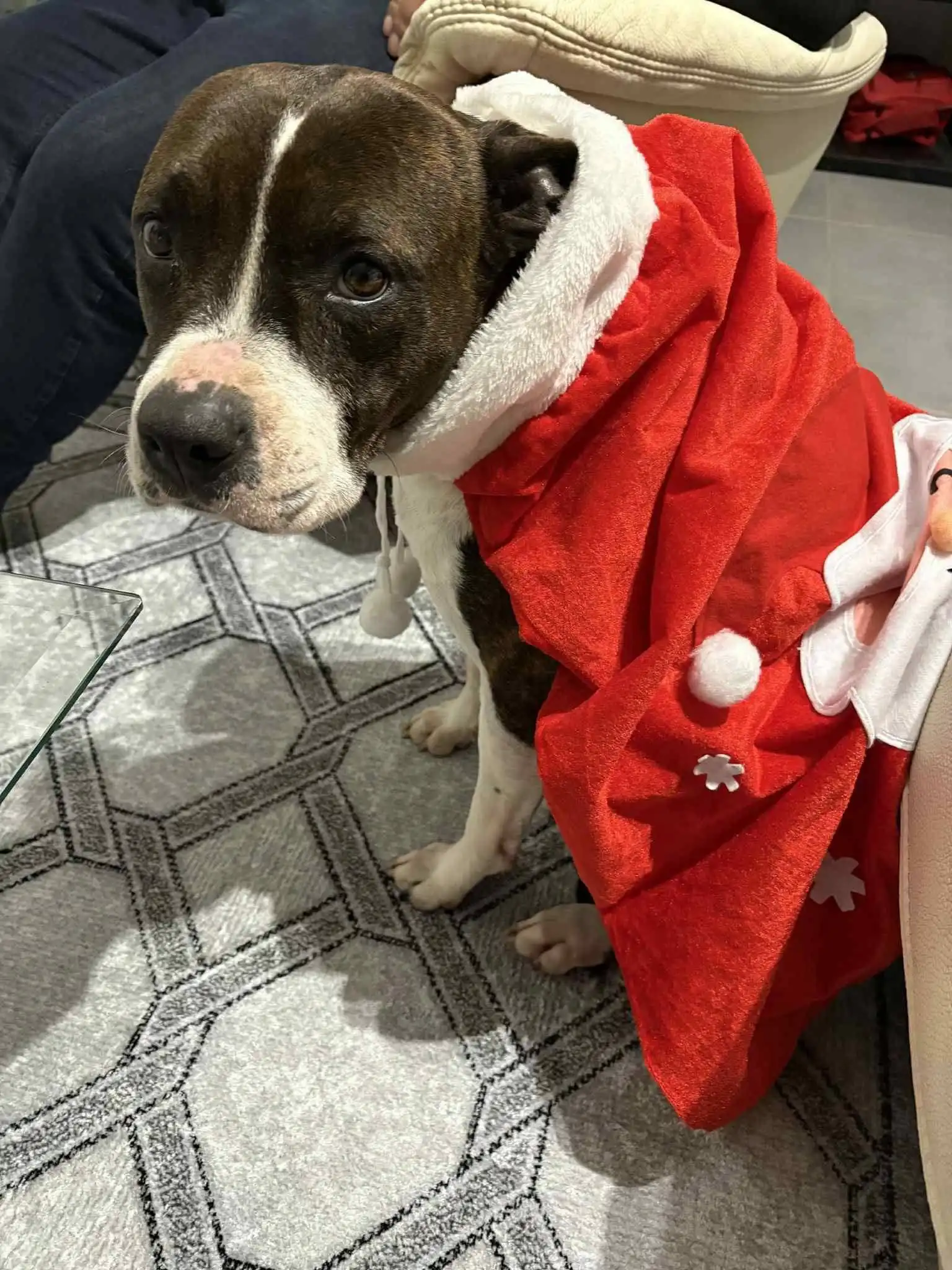 629712362_943460018030472_3144498209052925406_n Nita